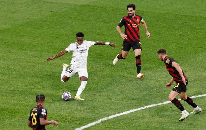 智的表现引 智的表现引