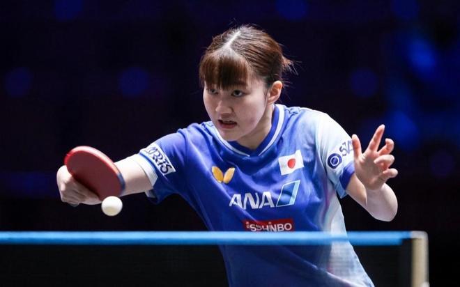 成鲜明对比 成鲜明对比