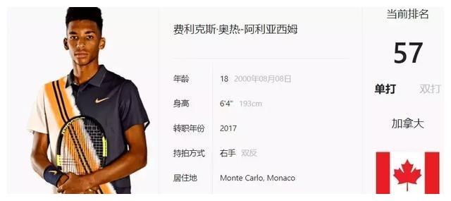 项目上的投 项目上的投