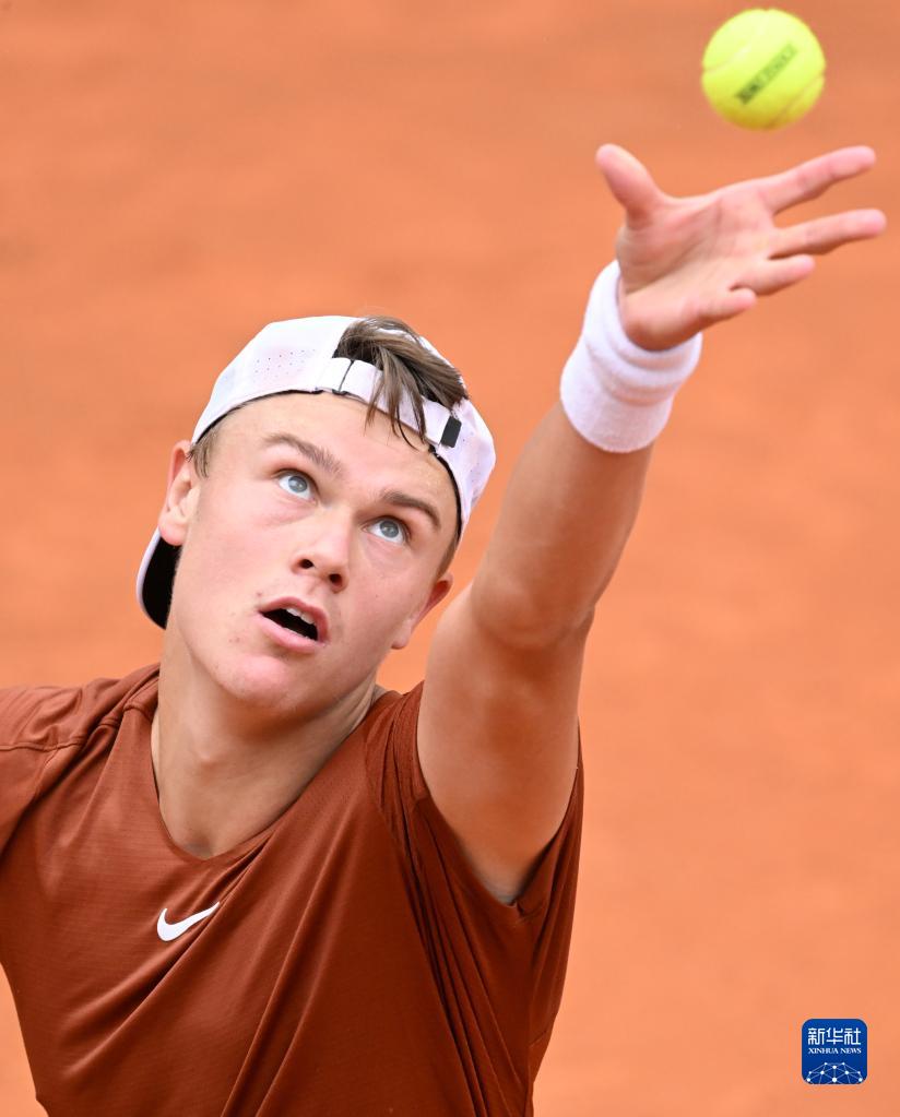 罗德里戈的 罗德里戈的